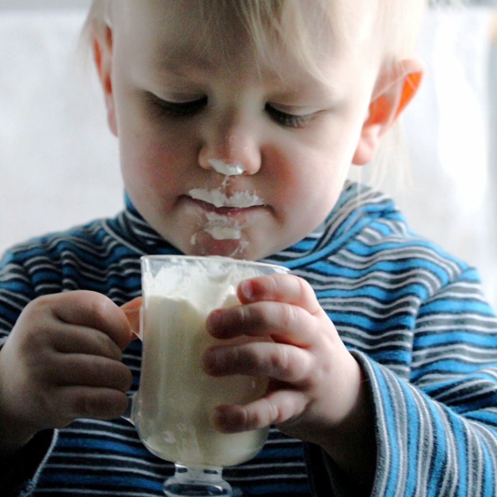 Sugar-Free Low-Carb Eggnog | Low-Carb, So Simple!