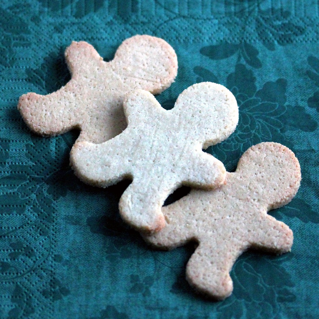 Sugar-Free, Gluten-Free Low-Carb Ginger Cookies | Low-Carb, So Simple! Sugar-Free, Gluten-Free Low-Carb Ginger Cookies | Low-Carb, So Simple!